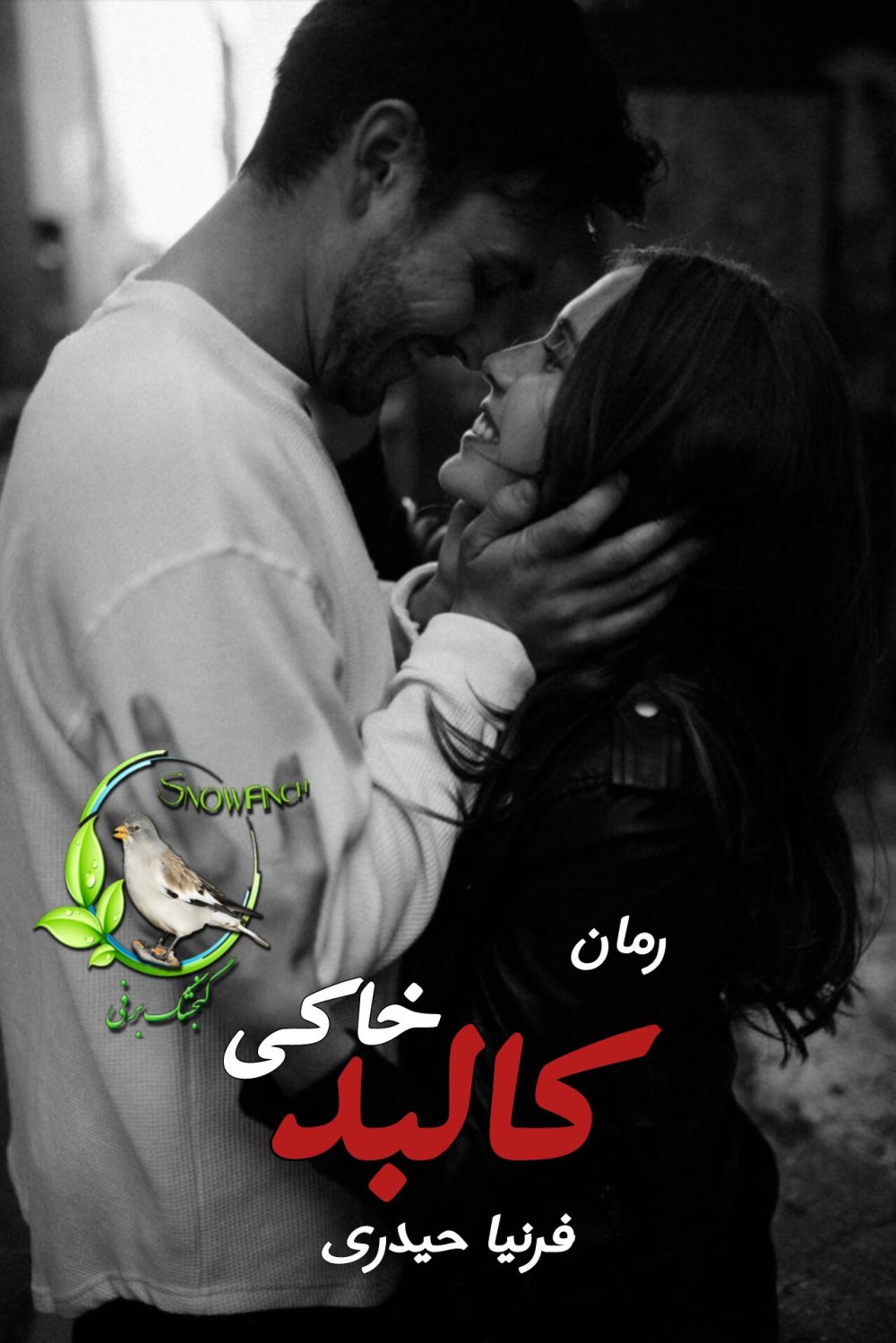 رمان کالبد خاکی - فرنیا حیدری