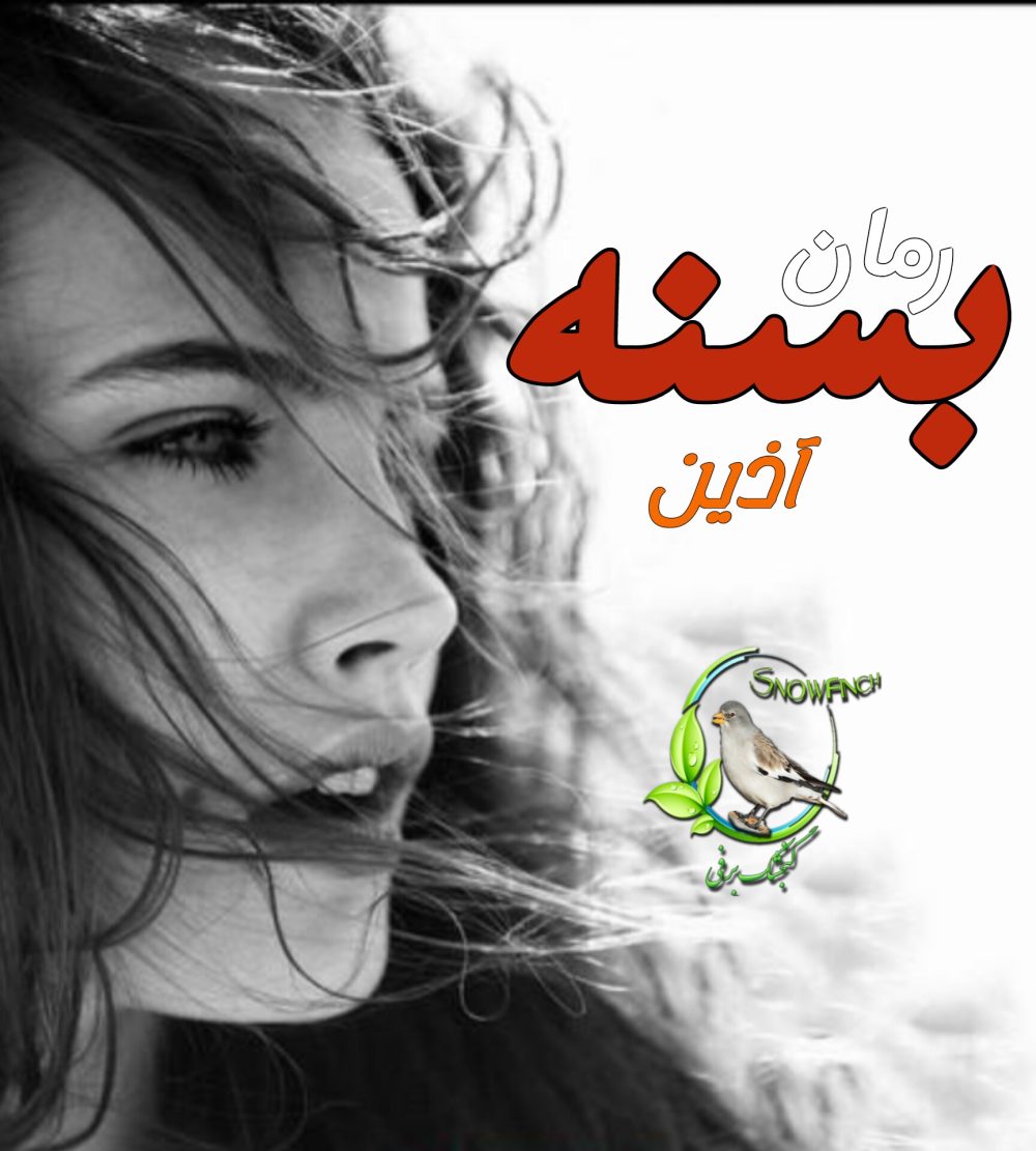 رمان بسنه - آذین