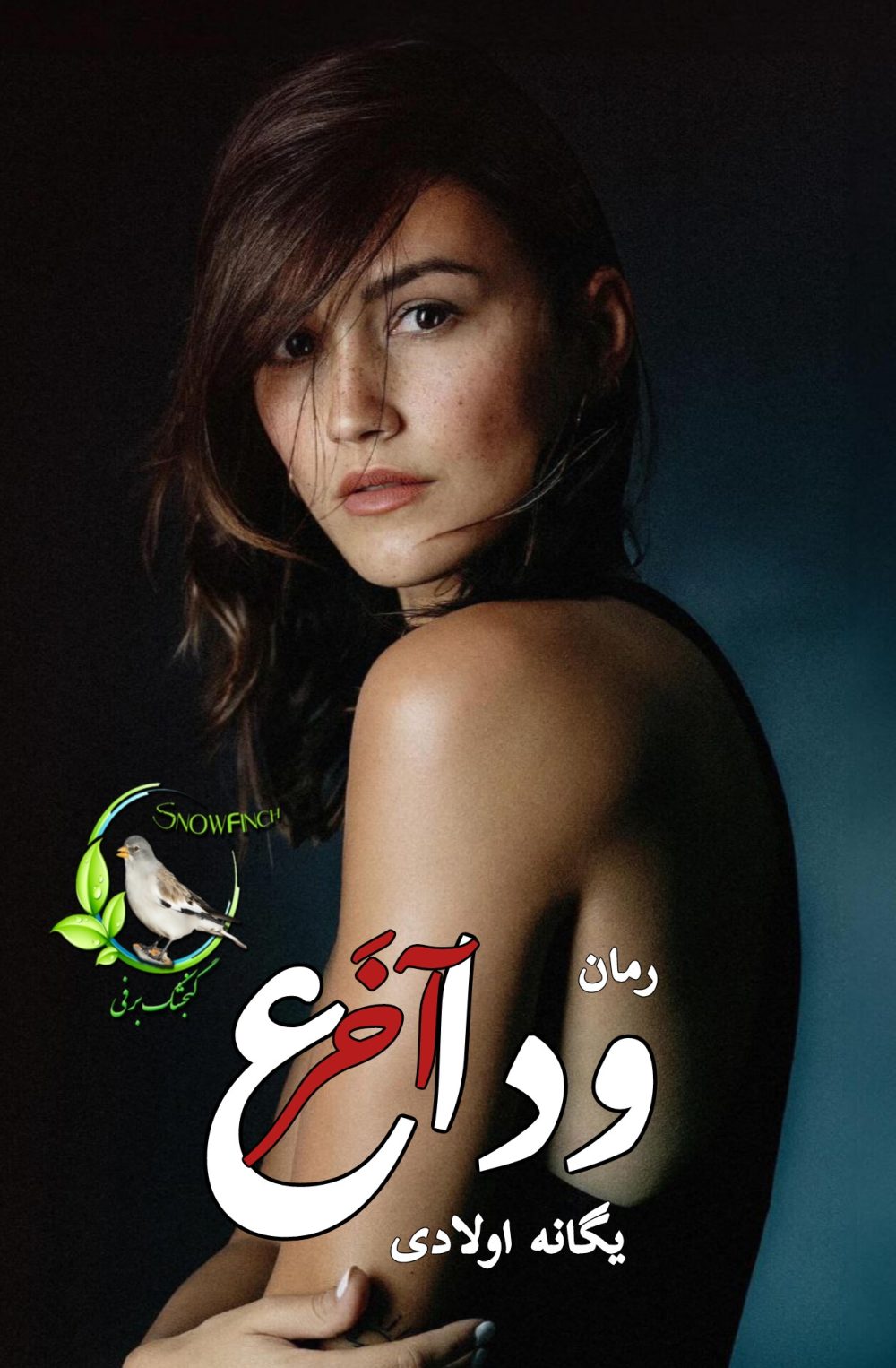 رمان وداع آخر - یگانه اولادی