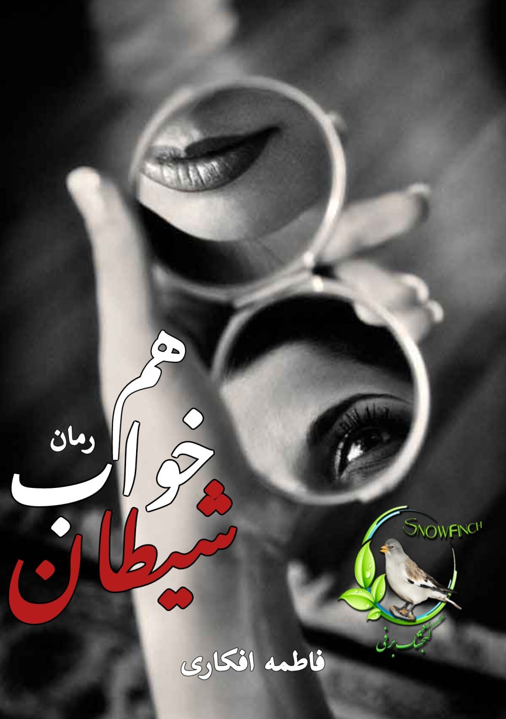 رمان هم خواب شیطان از فاطمه افکاری