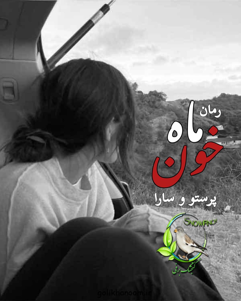 رمان ماه خون از پرستو و سارا