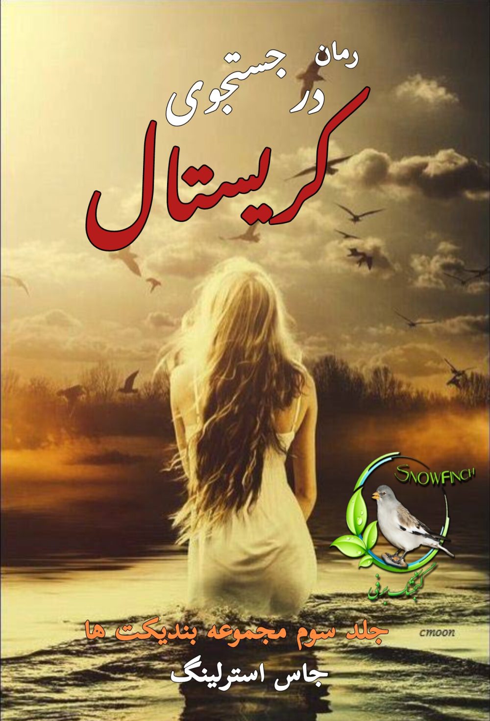 رمان در جستتجوی کریستال - جلد سوم مجمعه بندیکت ها از جاس استرلینگ