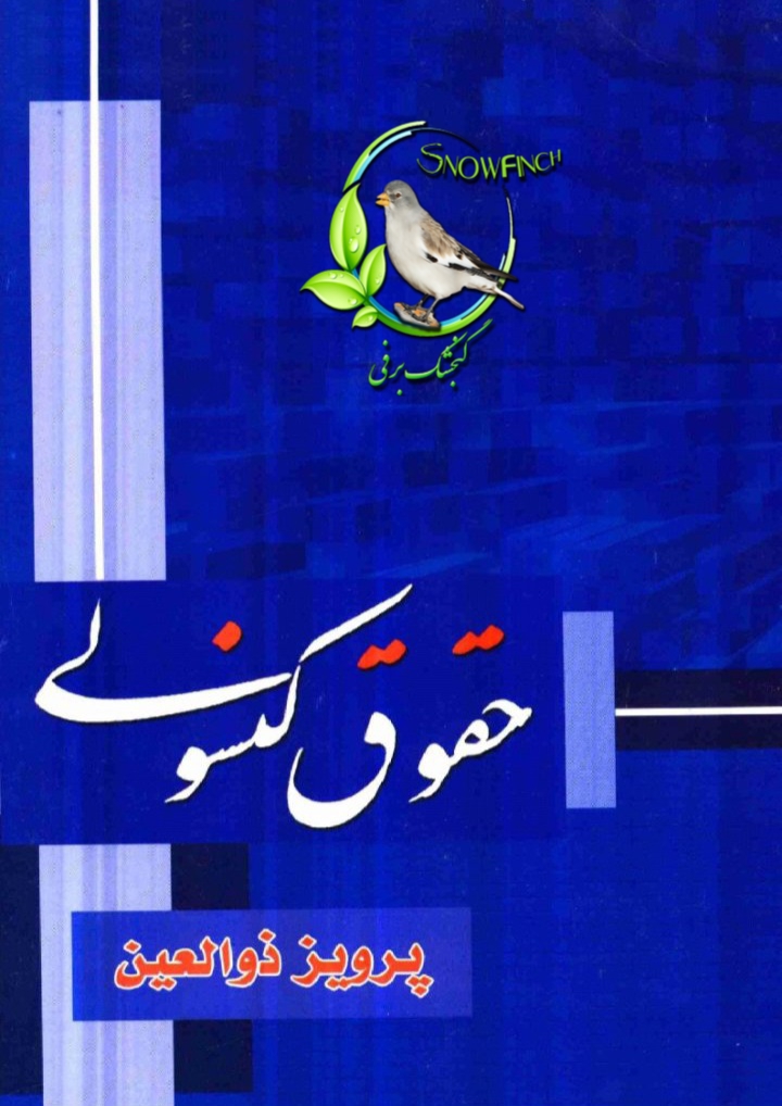 دانلود کتاب حقوق کنسولی از پرویز ذوالعین