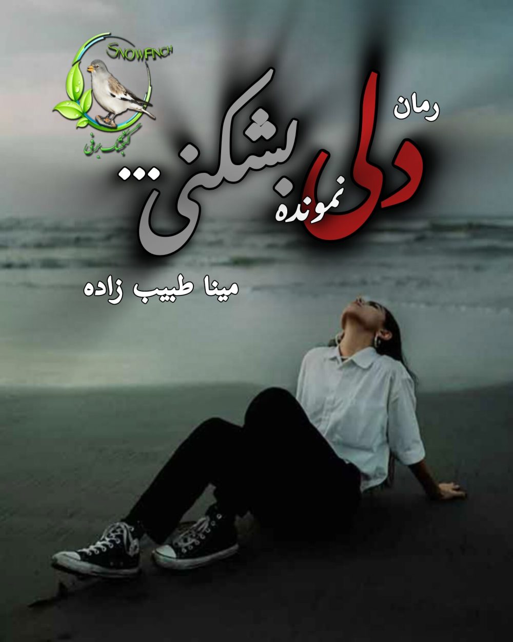 رمان دلی نمونده بشکنی از مینا طبیب زاده