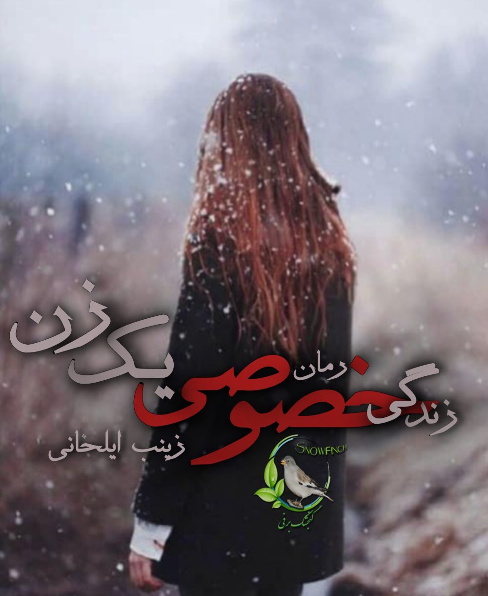 رمان زندگی خصوصی یک زن از زینب ایلخانی