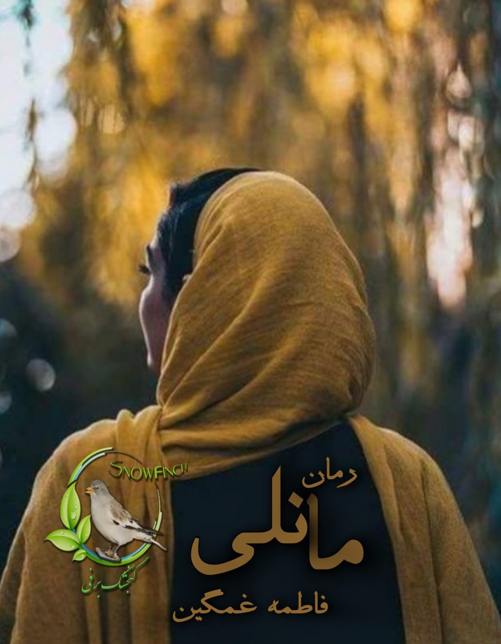 رمان مانلی از فاطمه غمگین