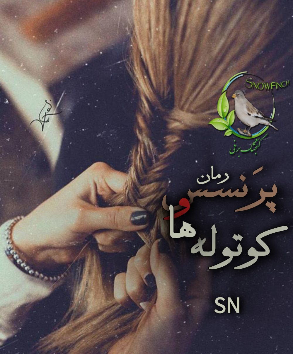رمان پرنسس و کوتوله ها از sn