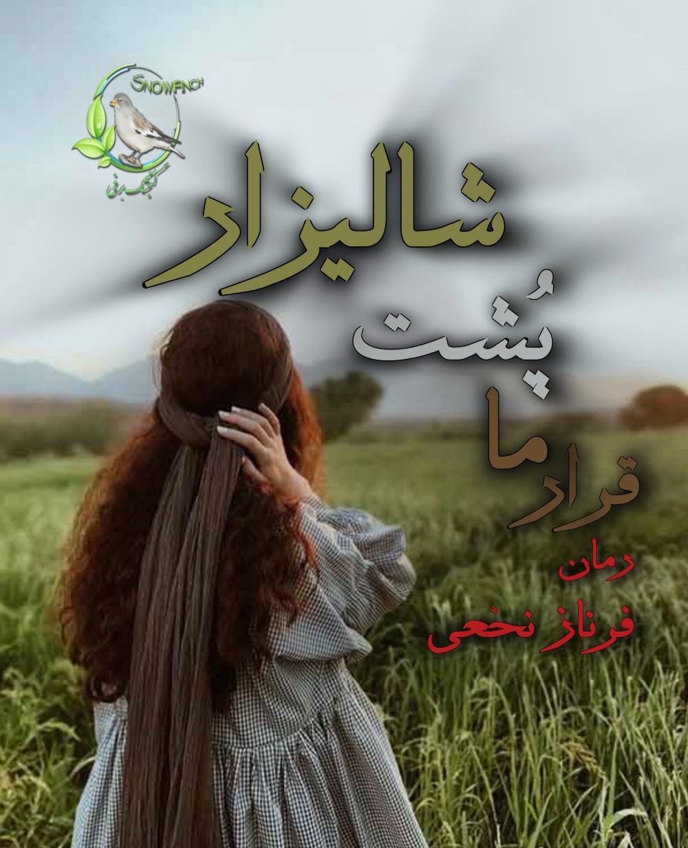رمان قرار ما پشت شالیزار از فرناز نخعی
