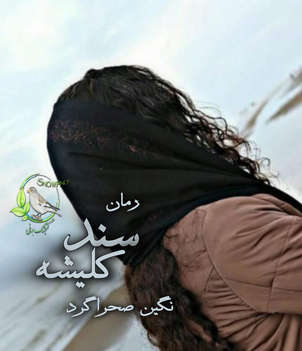 رمان سند کلیشه از نگین صحراگرد