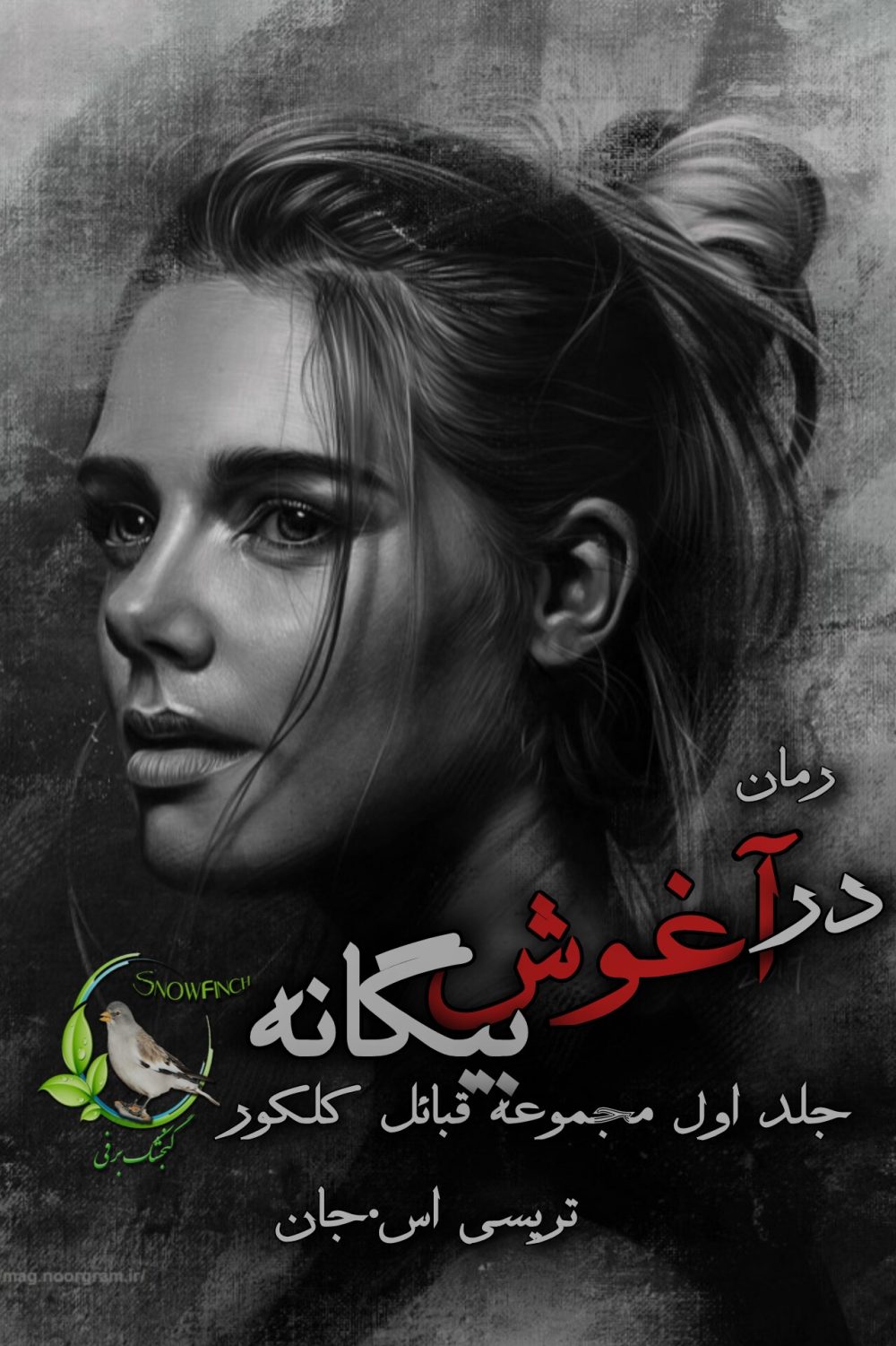 رمان در آغوش بیگانه - جلد اول مجموعه قبائل کلکور از ترسی اس. جان
