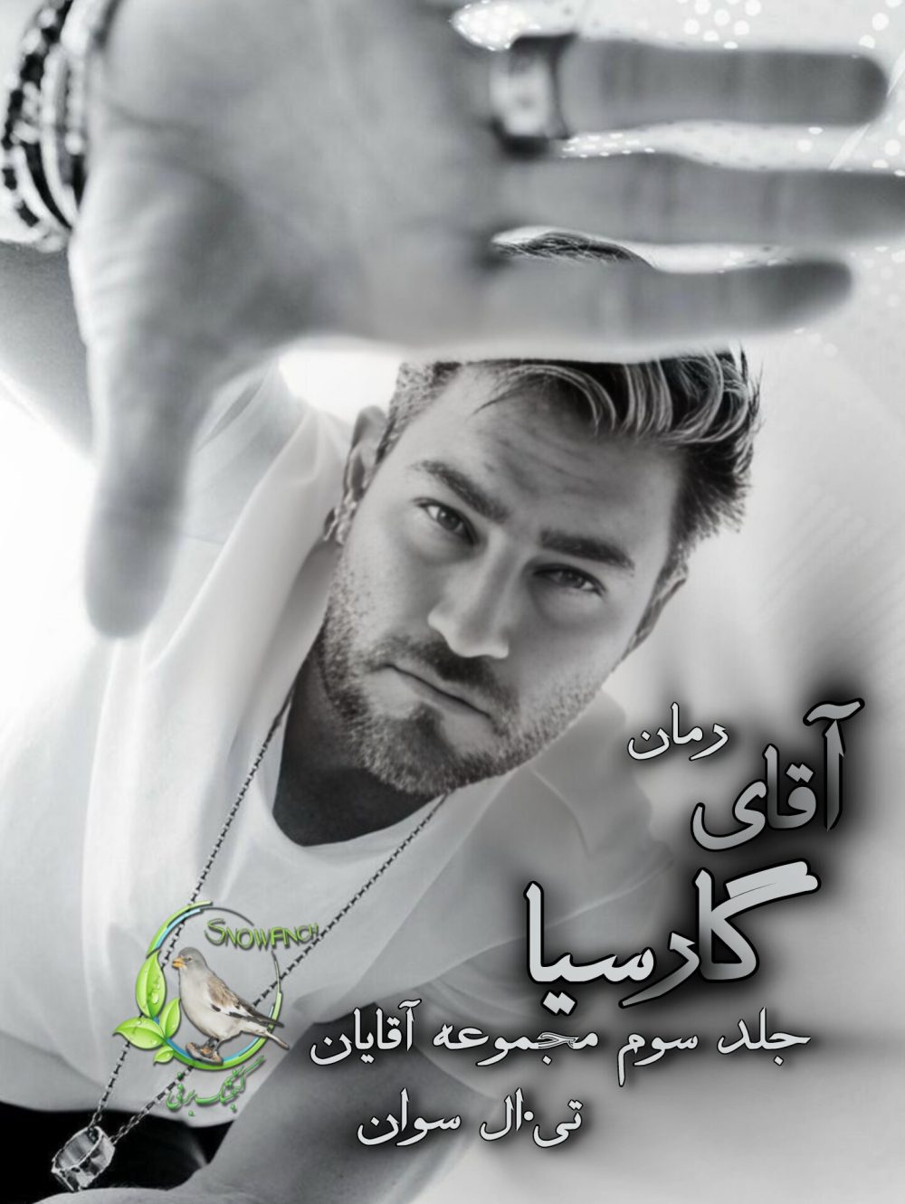 رمان آقای گارسیا - جلد سوم مجموعه آقایان از تی. ال. سوان