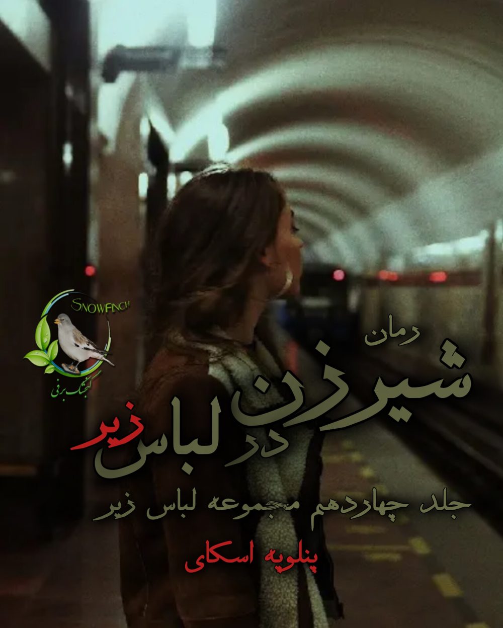 رمان شیرزن در لباس - جلد چهاردهم مجموعه لباس از پنلوپه اسکای