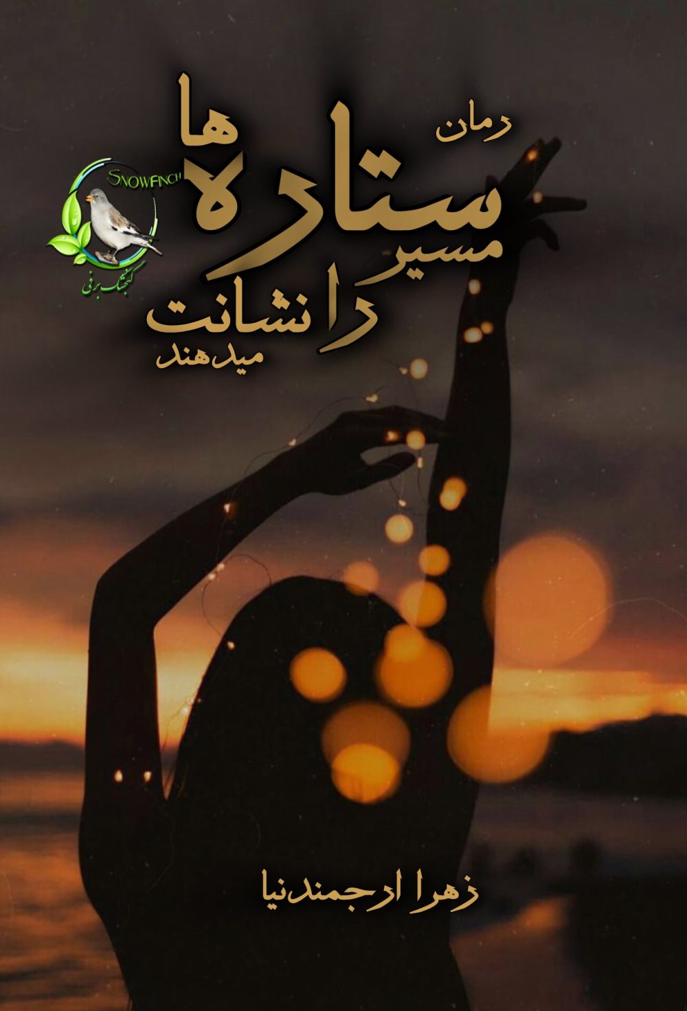 رمان ستاره ها مسیر را نشانت می دهند - زهرا ارجمندنیا