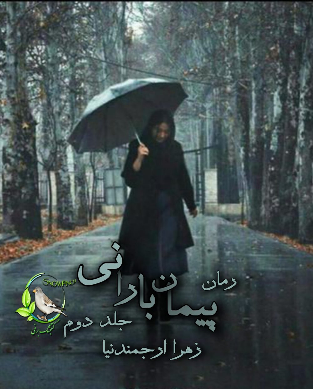رمان پیمان بارانی - جلد دوم زیر باران از زهرا ارجمندنیا