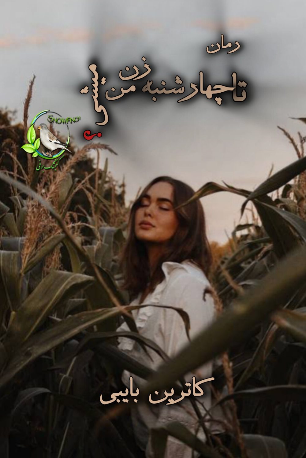 رمان تا چهارشنبه زن من میشی - کاترین بایبی