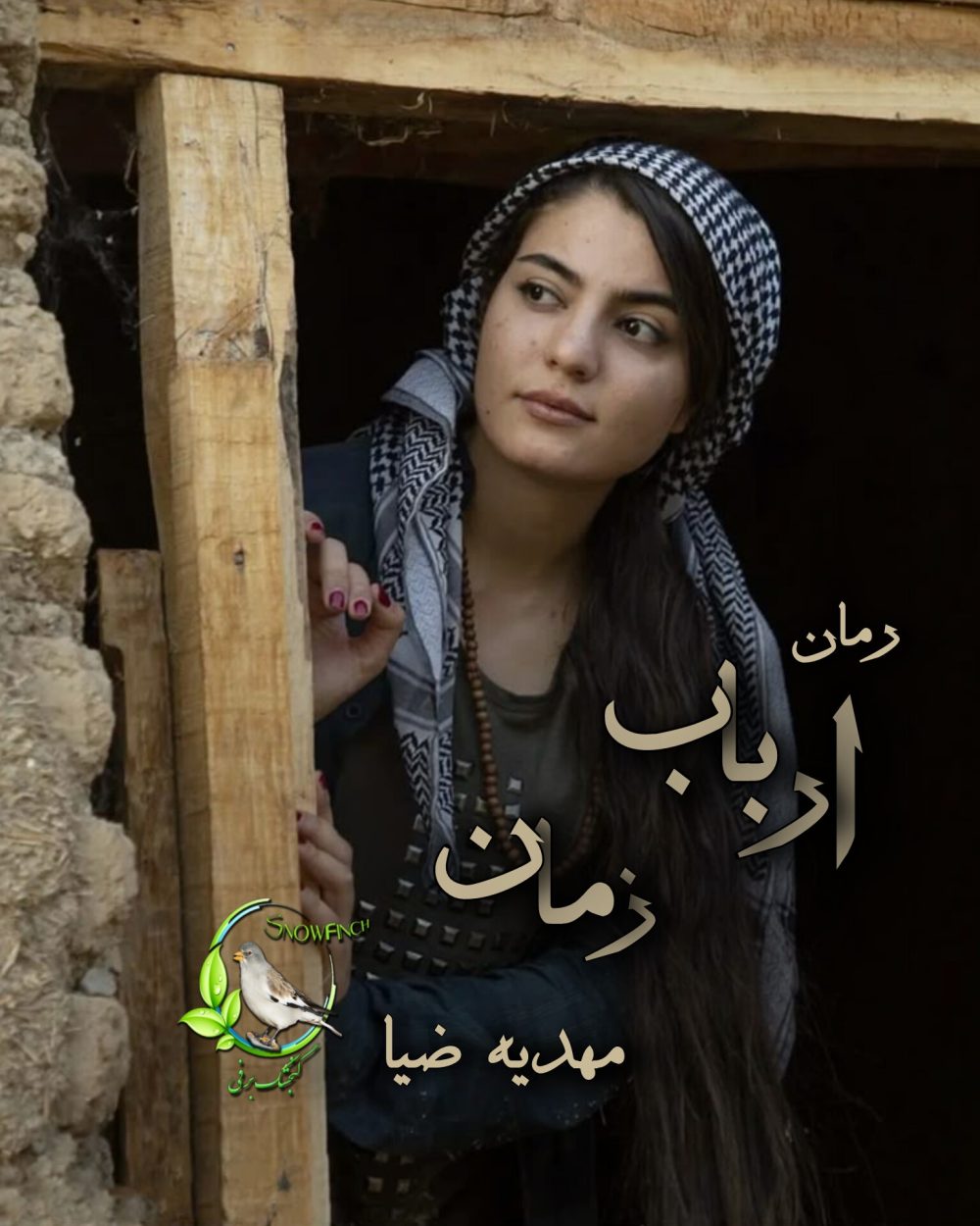 رمان ارباب زمان اثر مهدیه ضیا