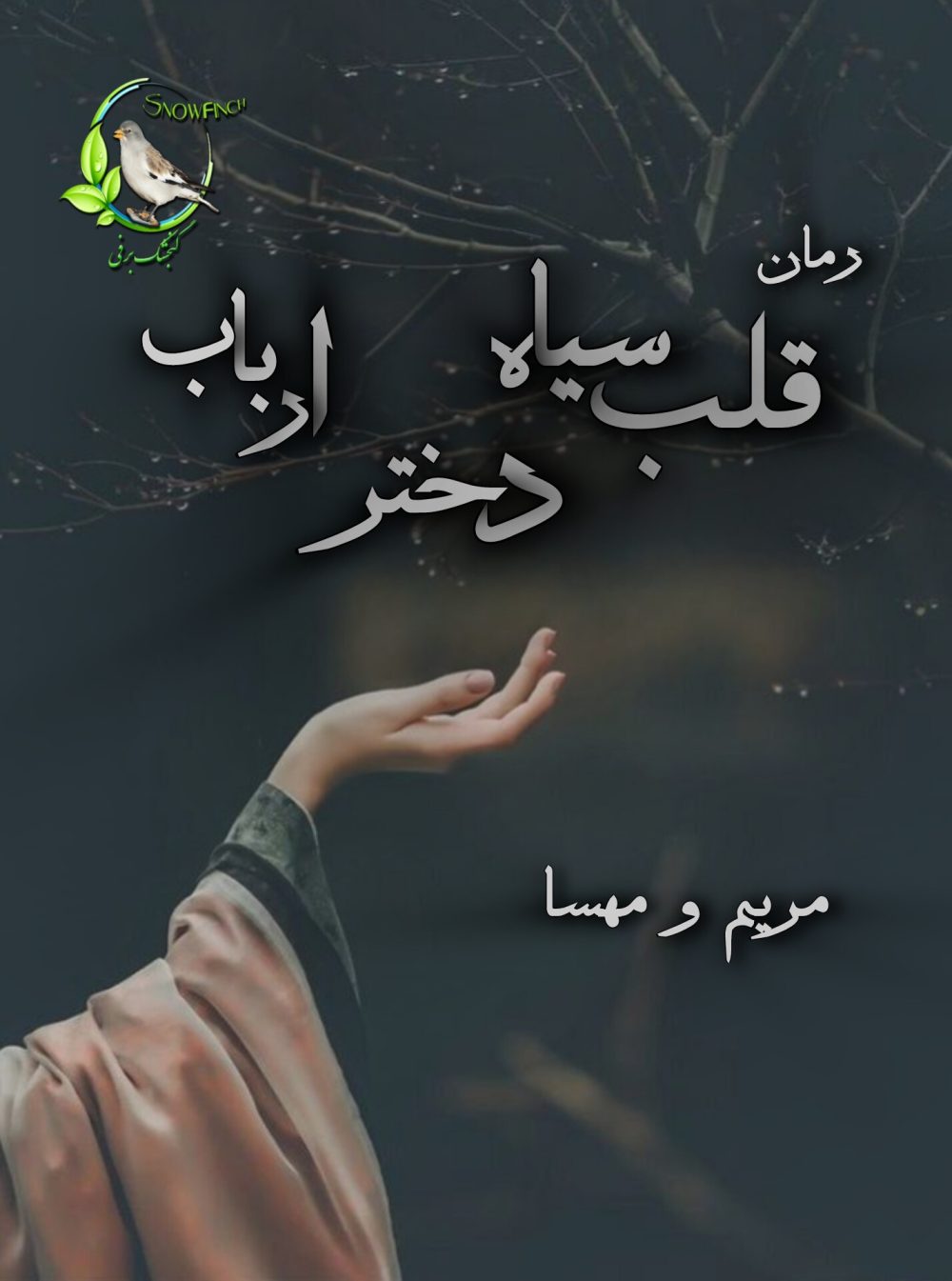 رمان قلب سیاه دختر ارباب اثر مریم و مهسا