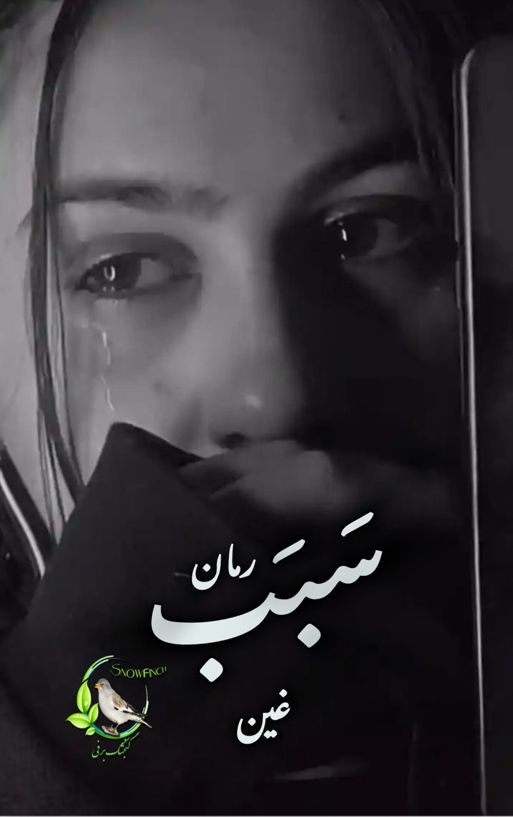 رمان سبب اثر غین