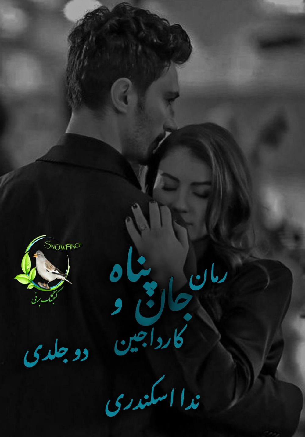 رمان جان پناه و کارداجین از ندا اسکندری
