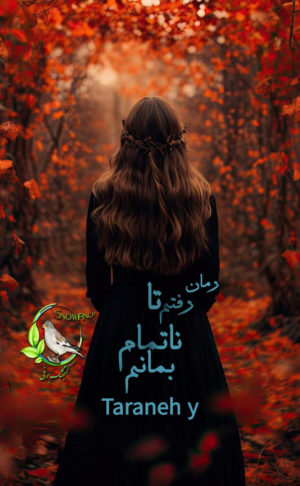 رمان رفتم تا ناتمام بمانم از taraneh y