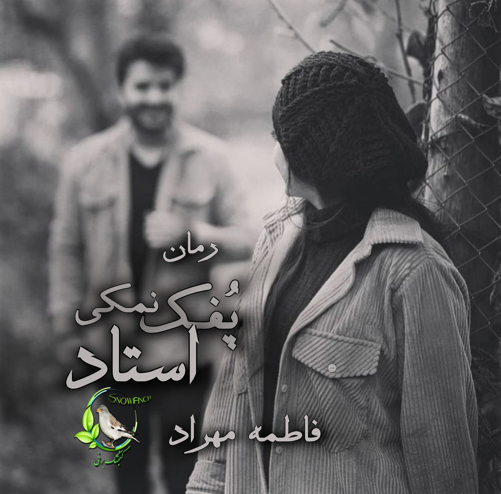 رمان پفک نمکی استاد از فاطمه مهراد