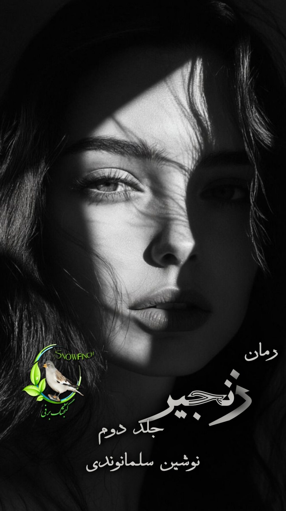 رمان زنجیر - جلد دوم از نوشین سلمانوندی