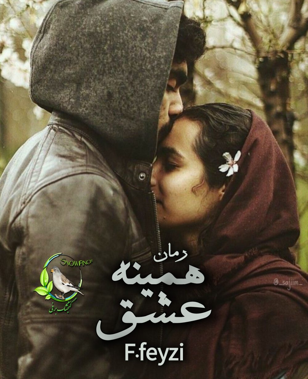 رمان همینه عشق از اف. فیضی