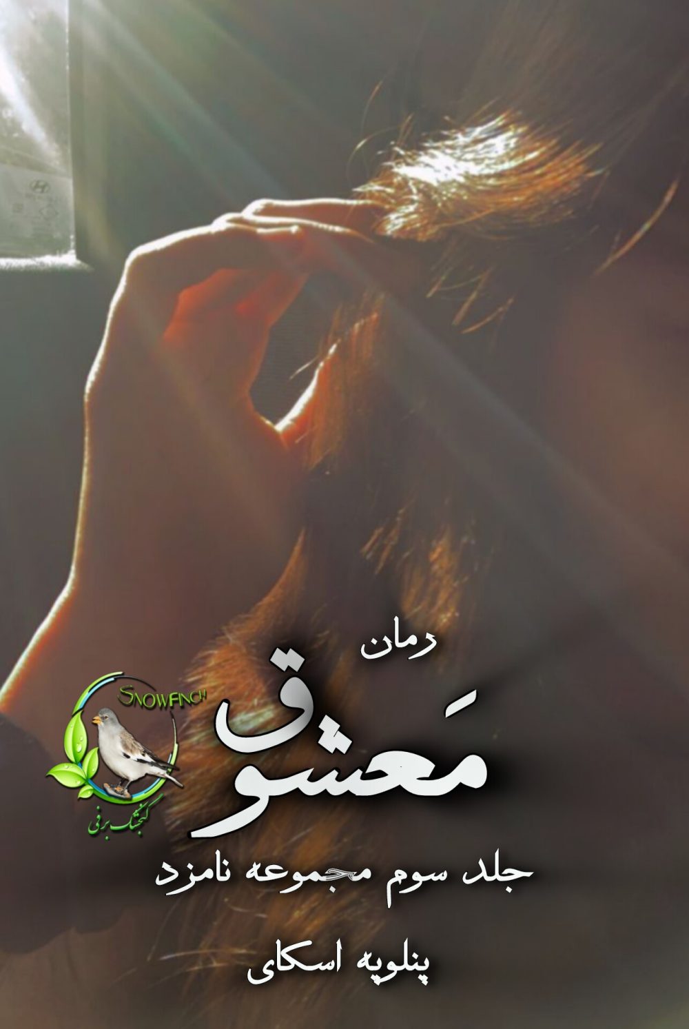 رمان معشوق - جلد سوم مجموعه نامزد از پنلوپه اسکای