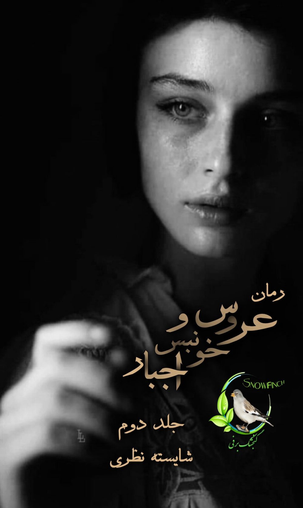 رمان عروس خونبس و اجبار - جلد دوم از شایسته نظری