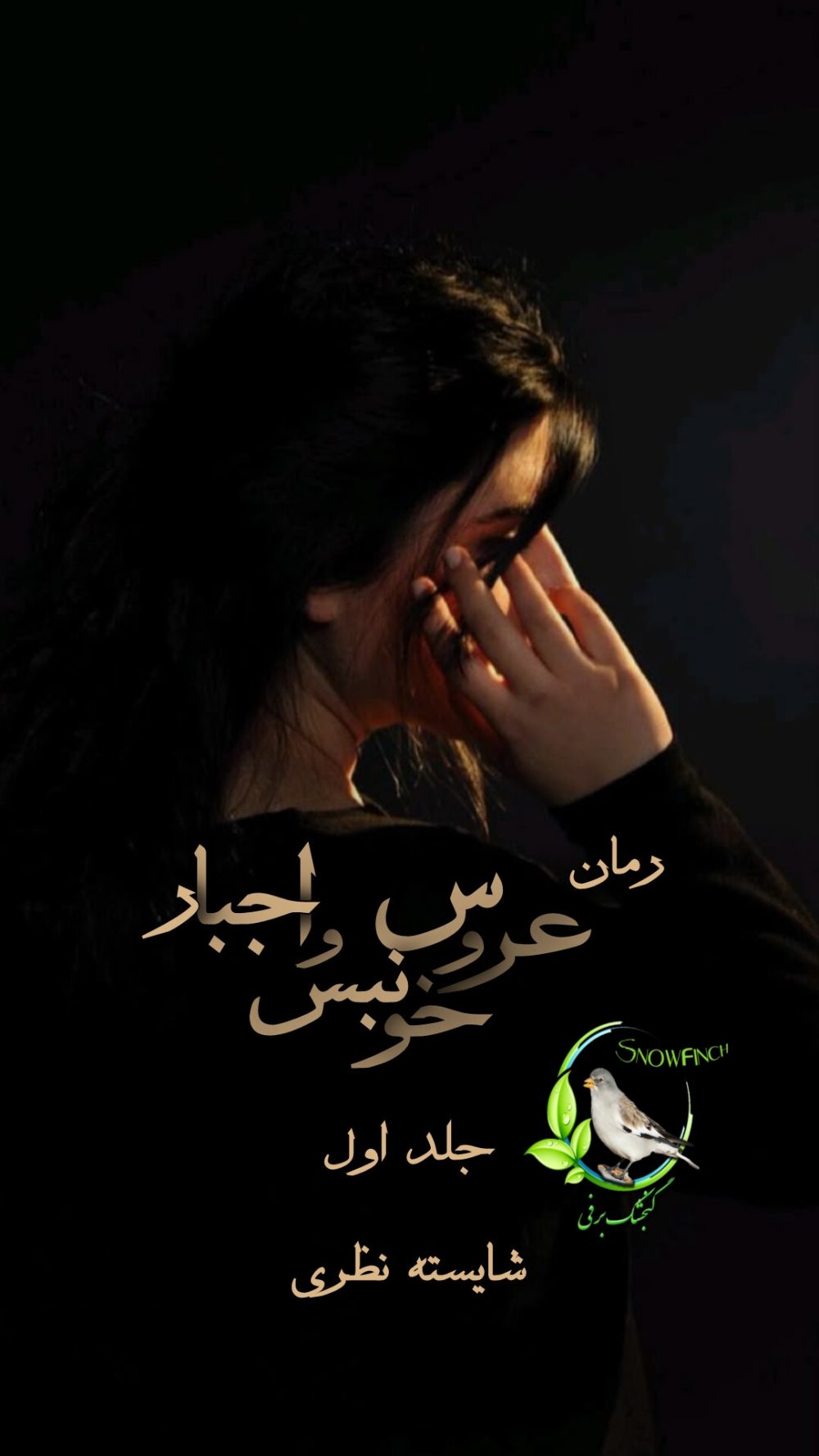 رمان عروس خونبس و اجبار - جلد اول از شایسته نظری
