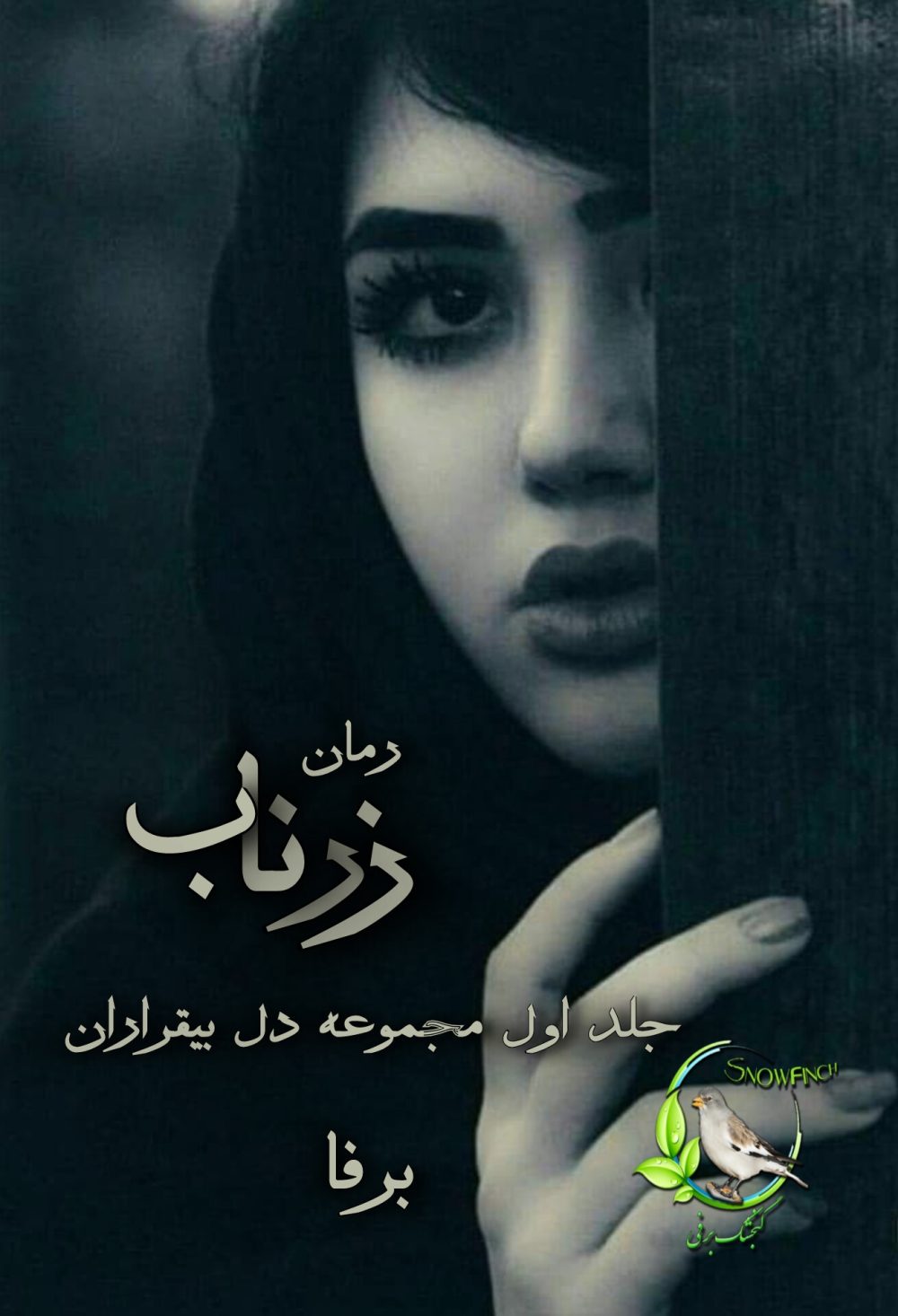 رمان زرناب - جلد اول مجموعه دل بیقراران از برفا