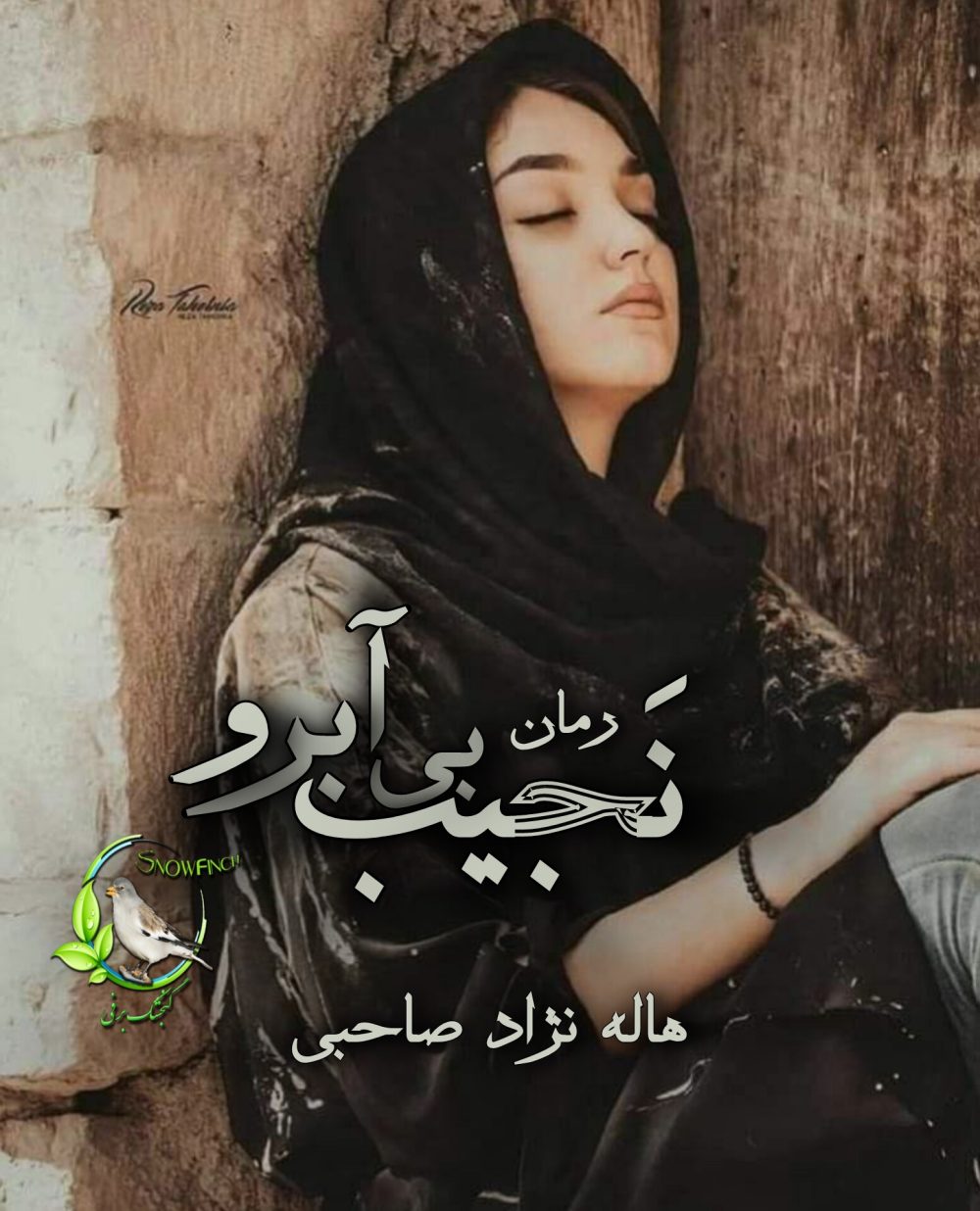 رمان نجیب بی آبرو از هاله نژاد صاحبی