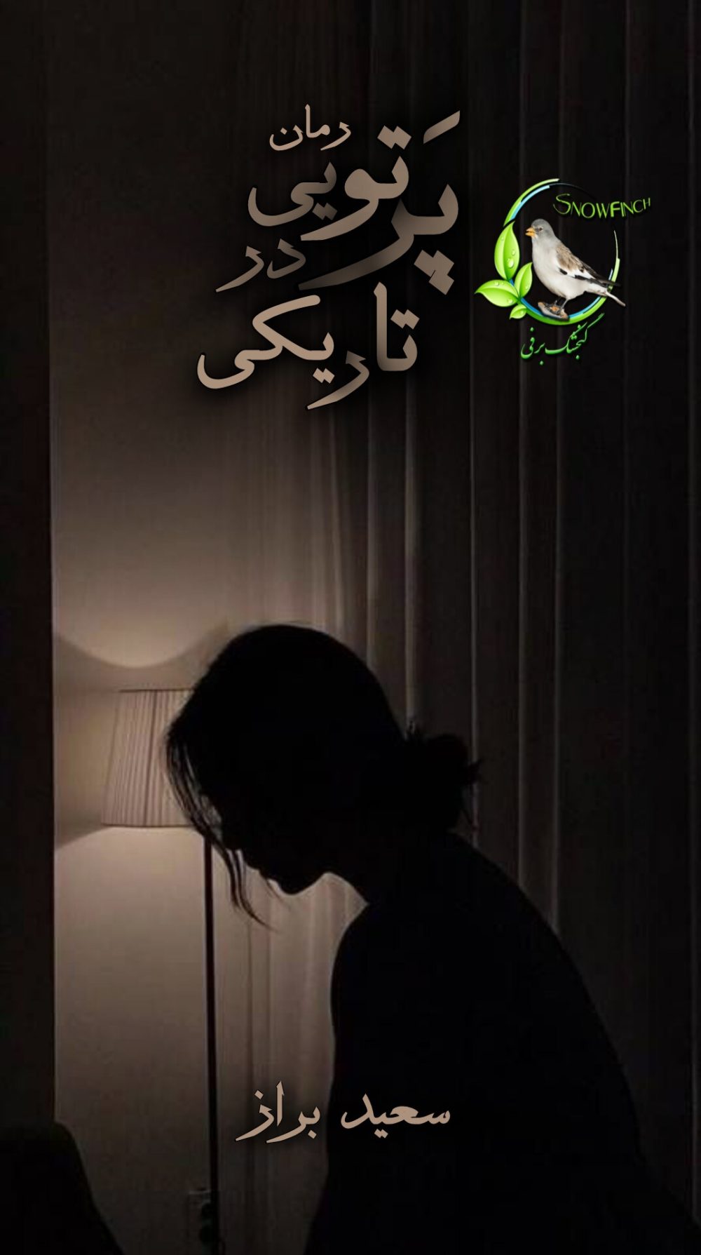 رمان پرتویی در تاریکی از سعید براز
