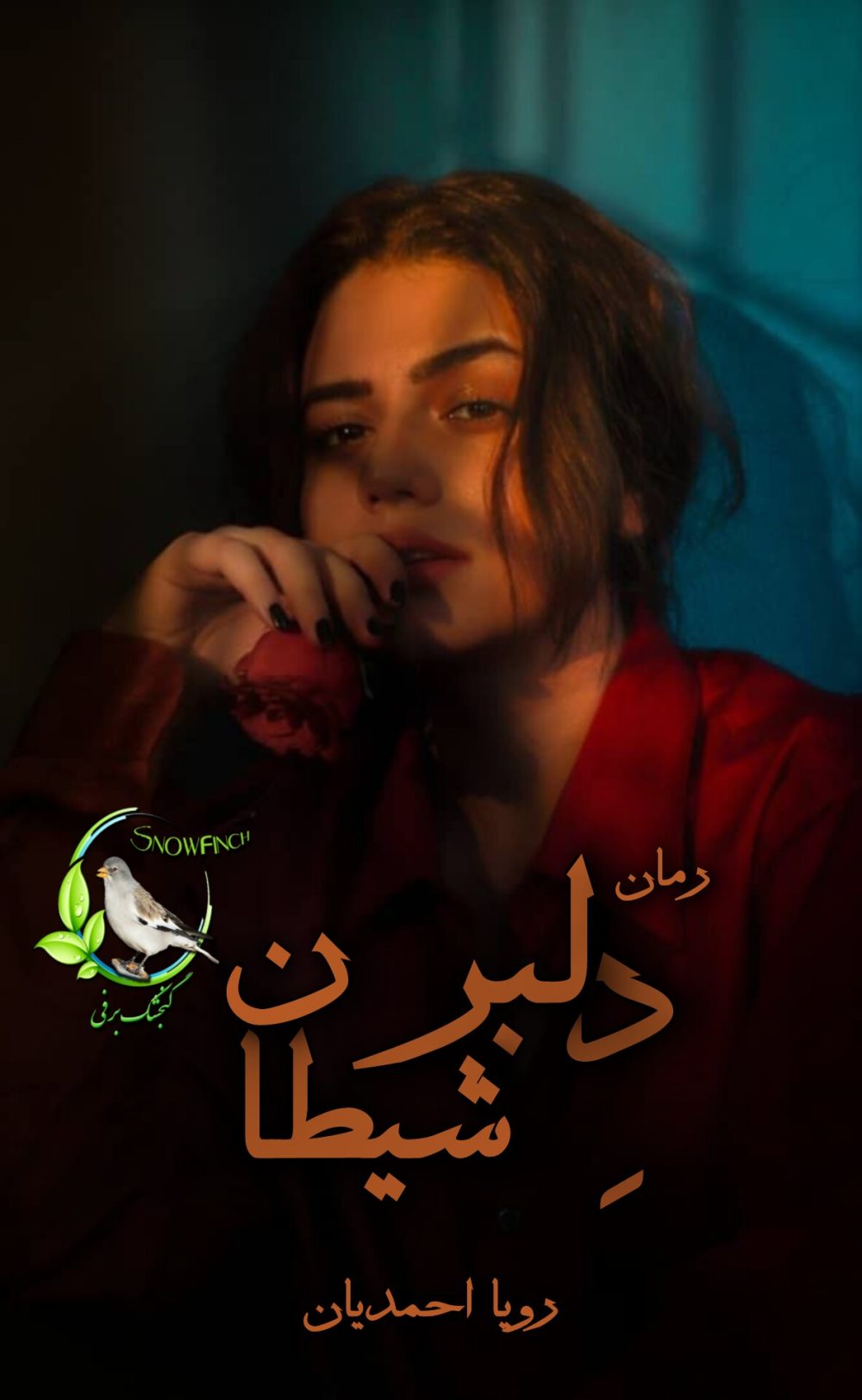 رمان دلبر شیطان از رویا احمدیان
