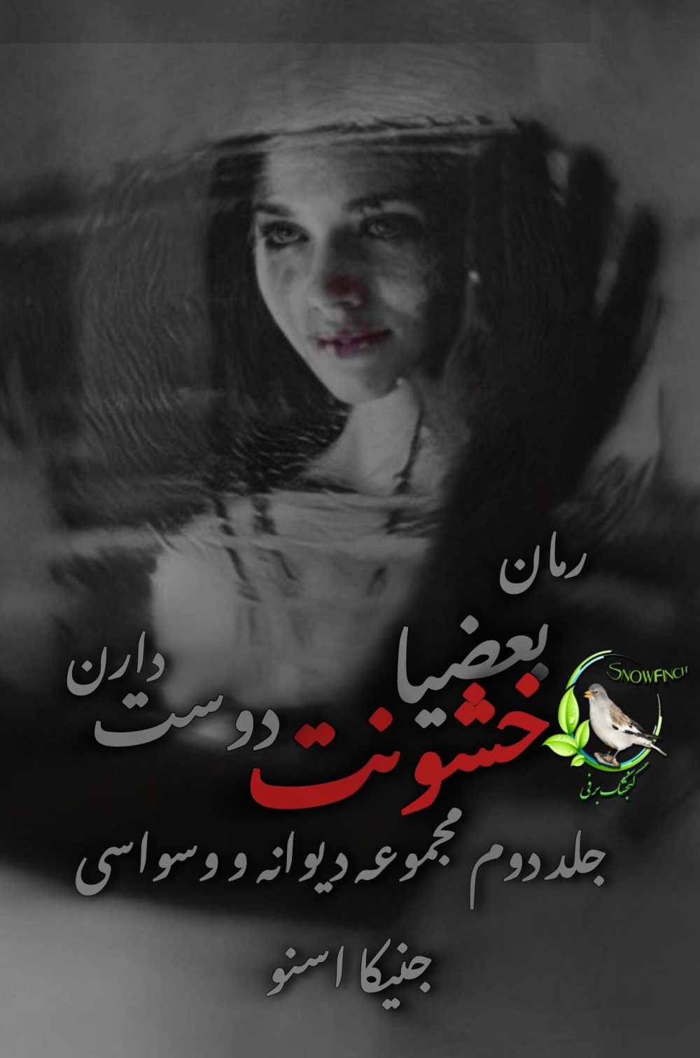 رمان بعضیا خشونت دوست دارن - جلد دوم مجموعه دیوانه و وسواسی از جنیکا اسنو