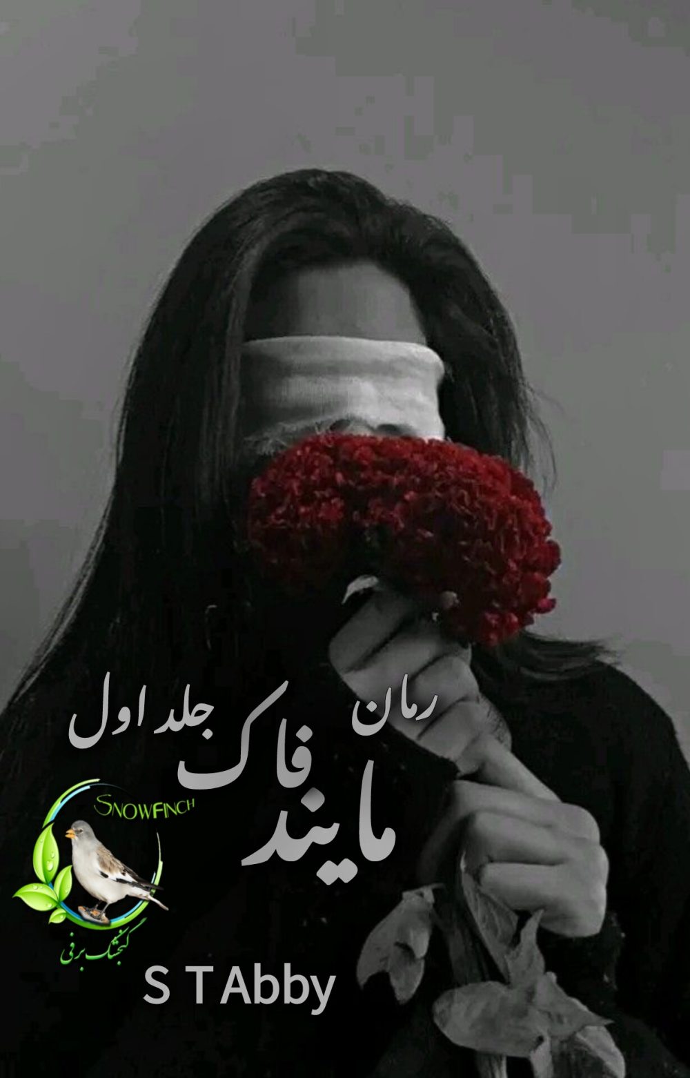 رمان مایندف.اک - جلد اول از s t abby