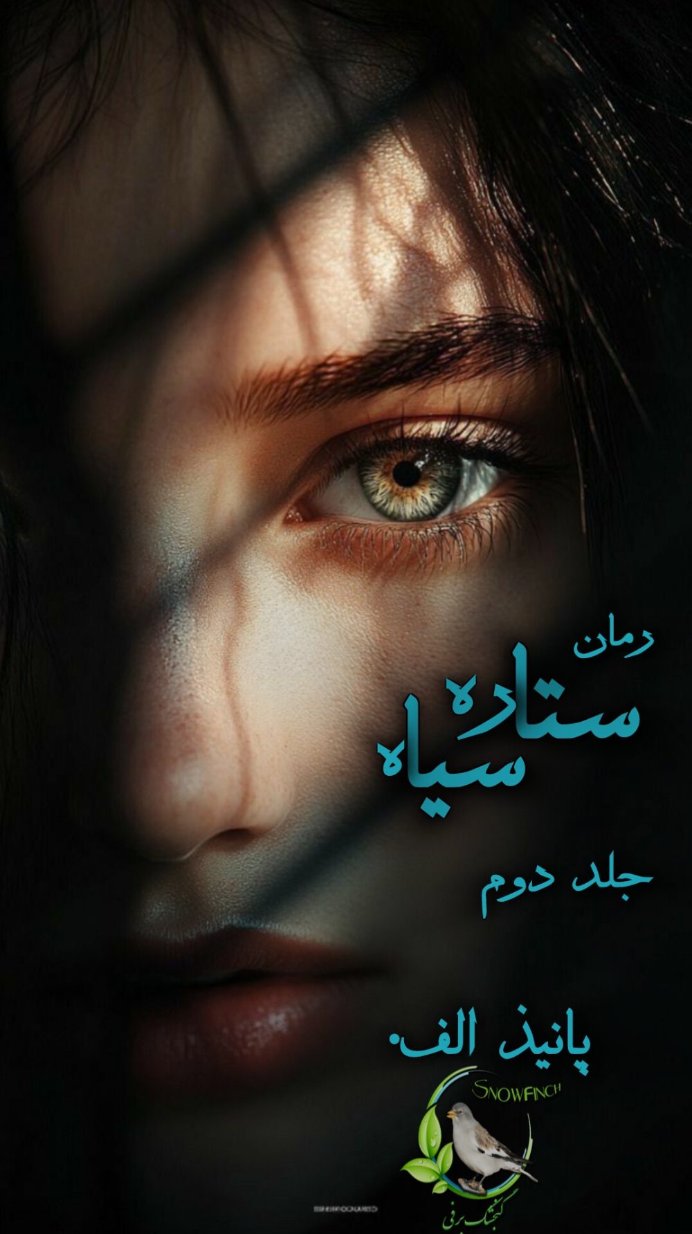 رمان ستاره سیاه - جلد دوم آخرین آواتار از پانیذ الف.