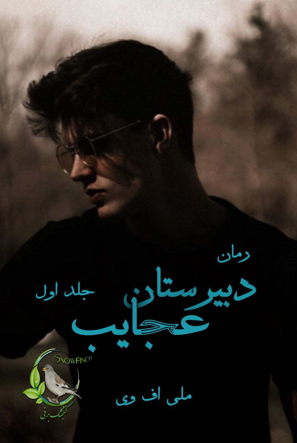 رمان دبیرستان عجایب - جلد اول از ملی اف وی