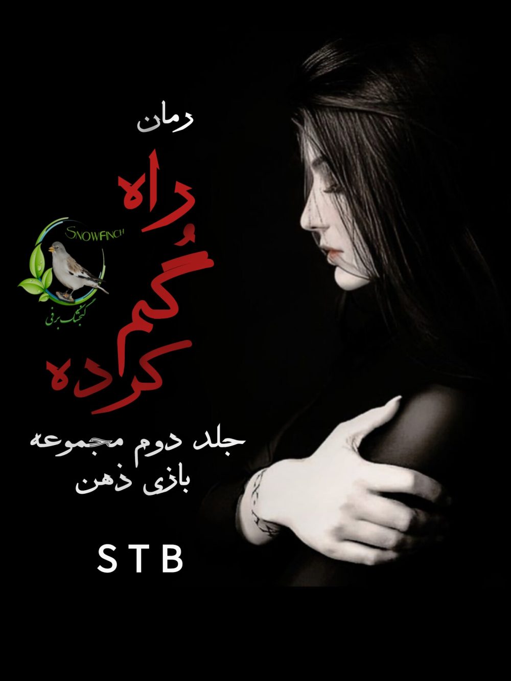 رمان راه گم کرده - جلد دوم مجموعه بازی ذهن از اس تی بی