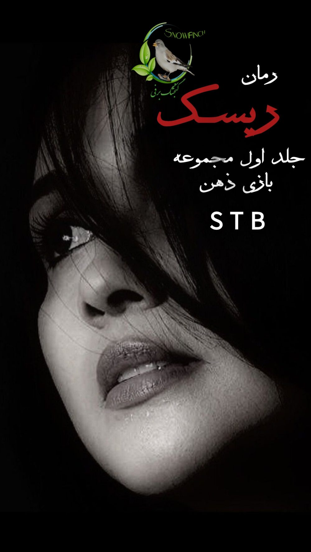 رمان ریسک - جلد اول مجموعه بازی ذهن از اس تی بی