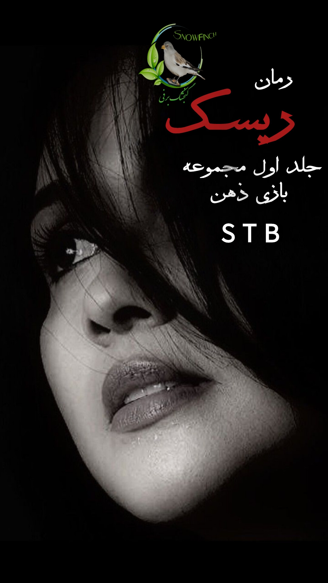 رمان ریسک - جلد اول مجموعه بازی ذهن از اس تی بی